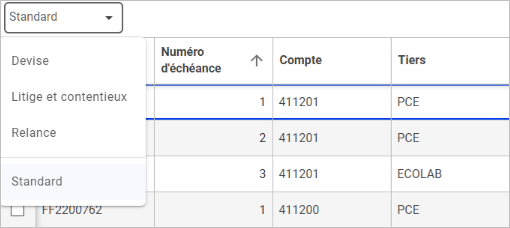 Liste déroulante de 4 vues : Standard, devise, litige et contentieux, relance